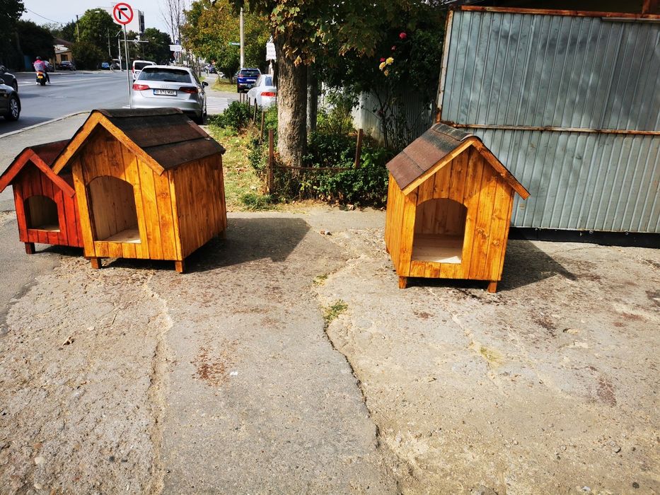 Coteț câine Chitila