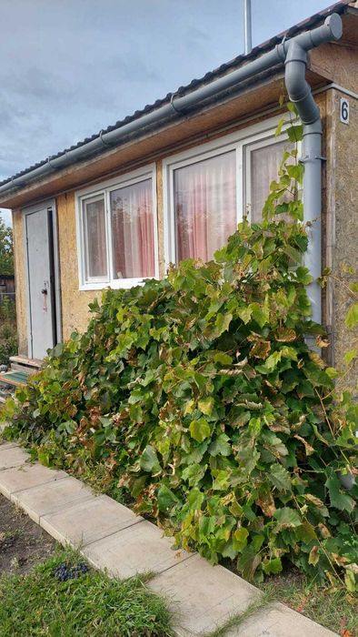 Дача 10 соток по Мамлютской трассе