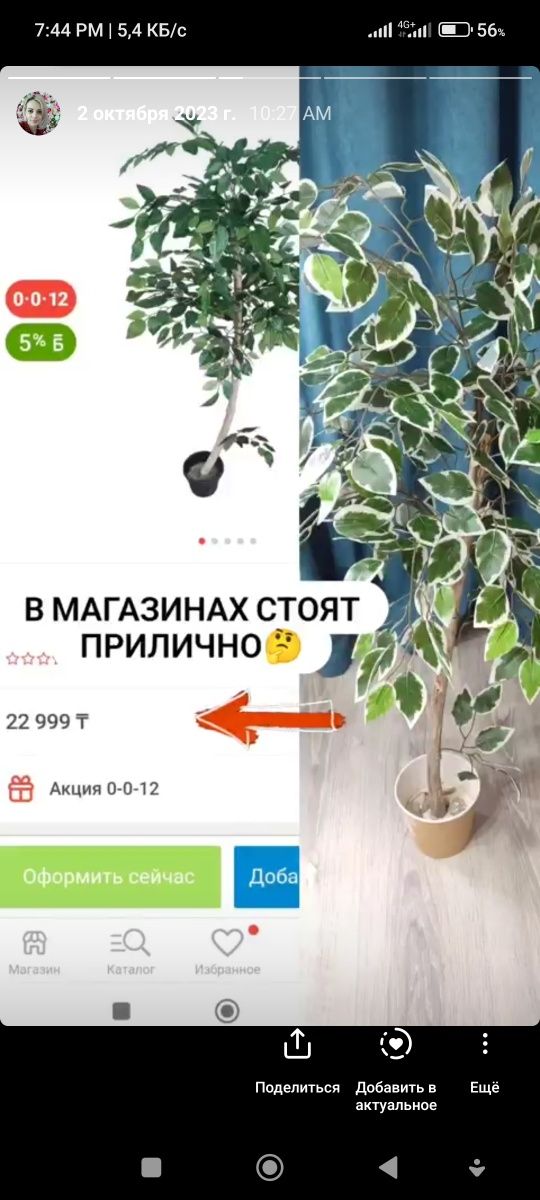 Искусственное дерево Фикус бенджамина