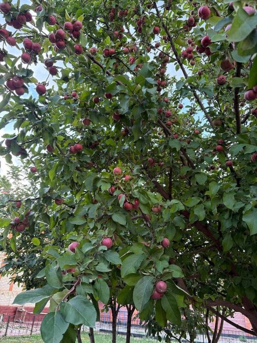 Дом рядом с ТД АИДА Алпамыс батыра 12 мкр