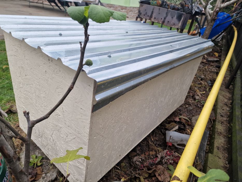 Cotet / Casa Mare pentru caine / Caini