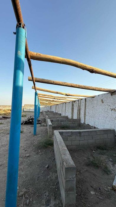Товукхона, молхона, молбозор ва балик куллари сотилади