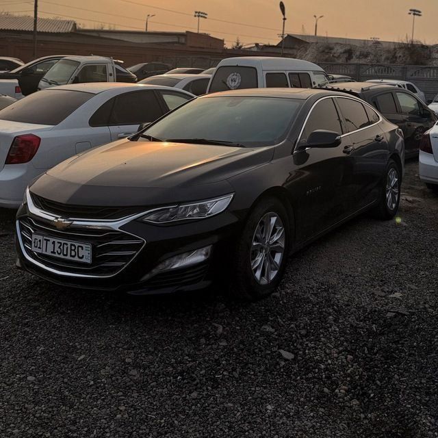 Malibu 2022 Primer ARENDA VIKUP 7000 Blan