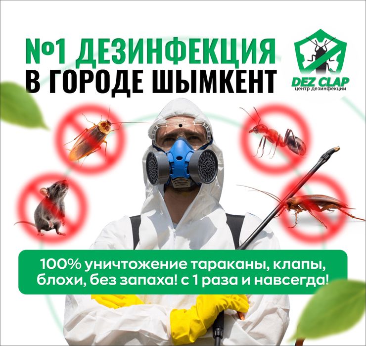Дезинфекция, Дизинфекция, Шымкент без запаха, тараканы, клапы. №1