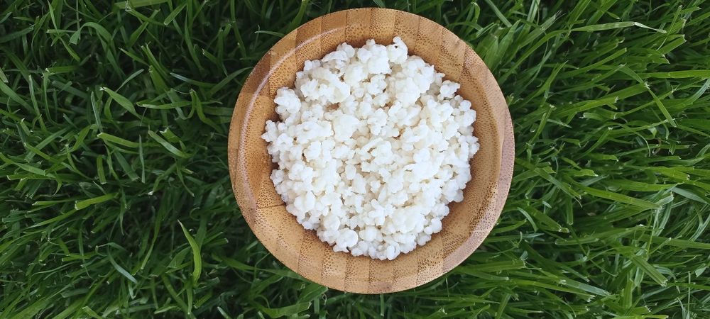 Ciuperca Tibetana KEFIR