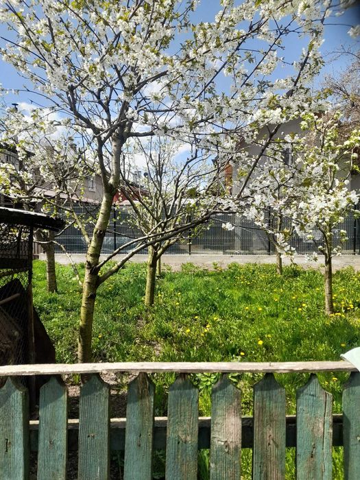 Casa Campulung Moldovenesc