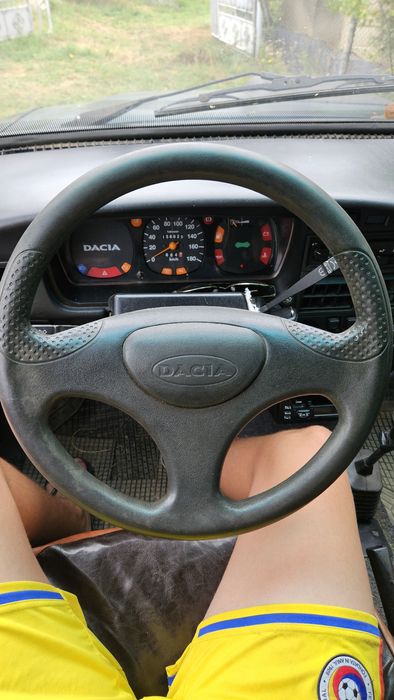 Dacia Papuc 2006