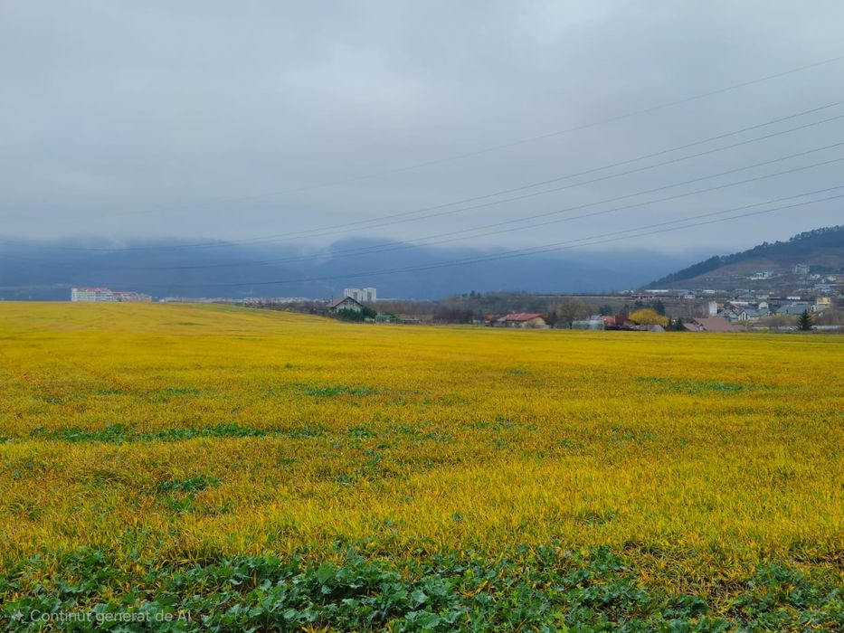 Teren Ciritei - Piatra Neamț- intravilan