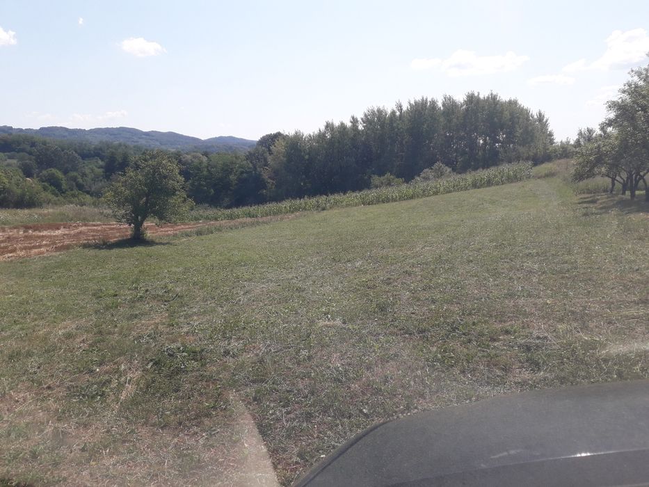 Teren Vladesti Priporu