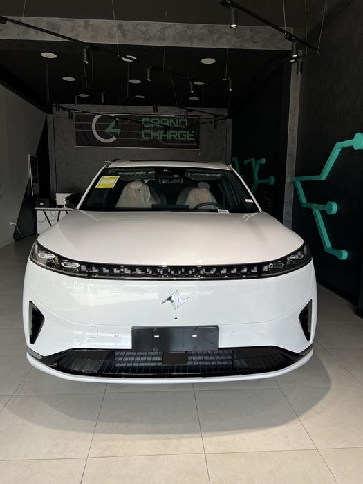 Dongfeng 008.