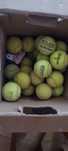 Mingi tenis Wilson 70 bucati