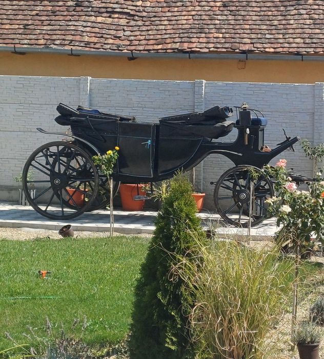 Trăsură/caleaşcă