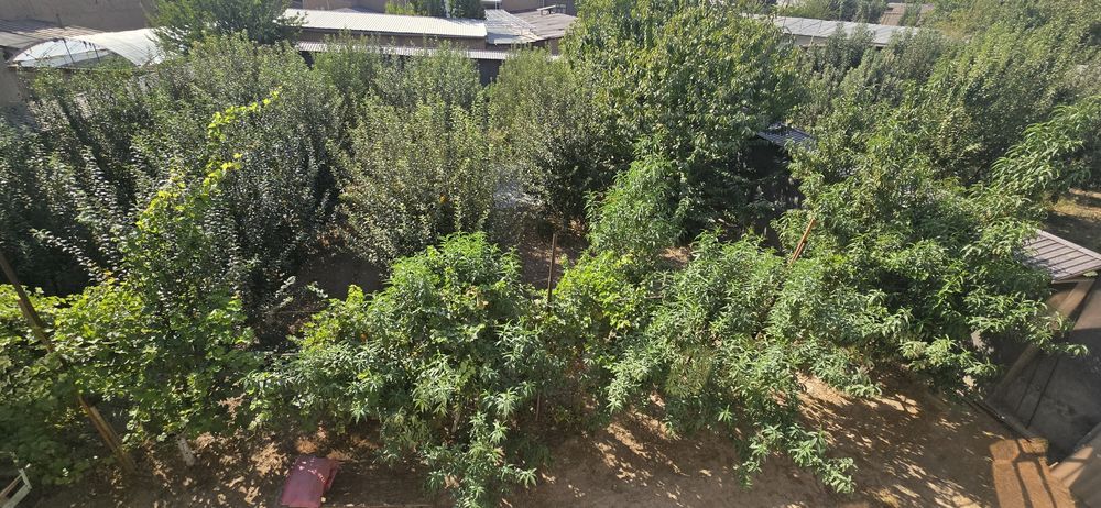 Маданият участка сотилади, продается земельный участок