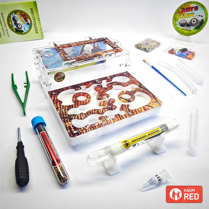 Муравьиная ферма - Муравьи жнецы ||| ГИПСОВЫЙ Формикарий "PREMIUM"