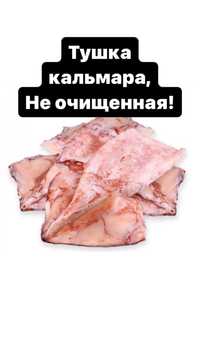 Кальмар не чищеный,тушка