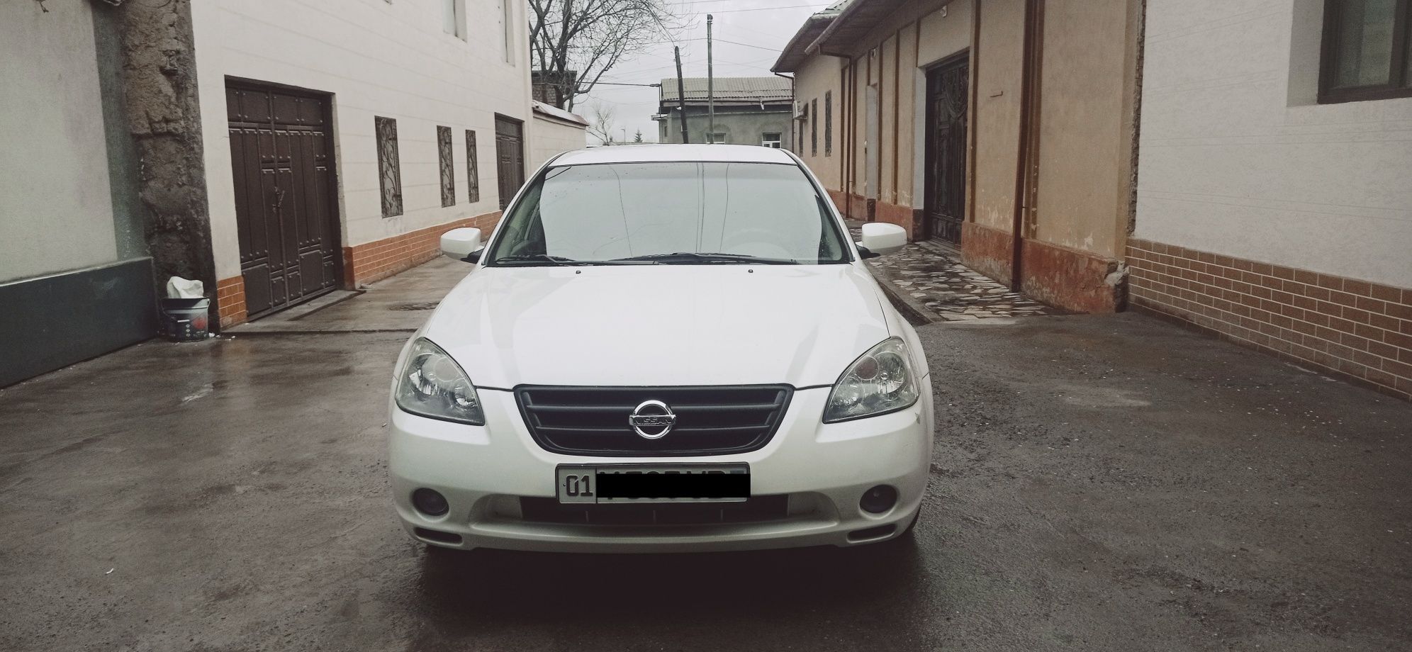 Nissan Altima L31