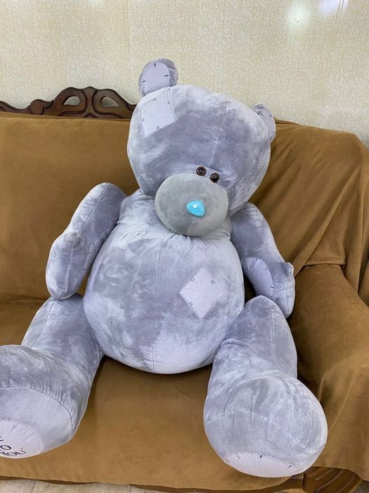 Мишка Teddy, Ayiq Teddy