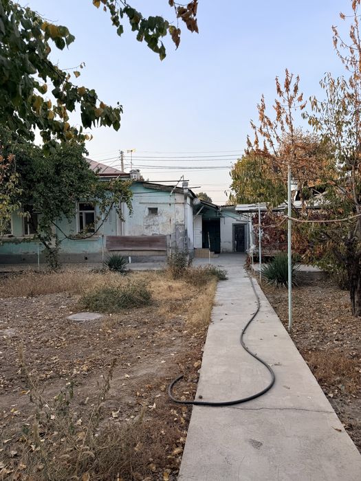 qoyliq bozordan uchaska arenda