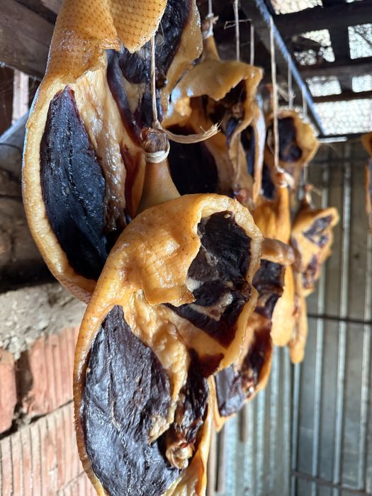 Sunca de rata afumata