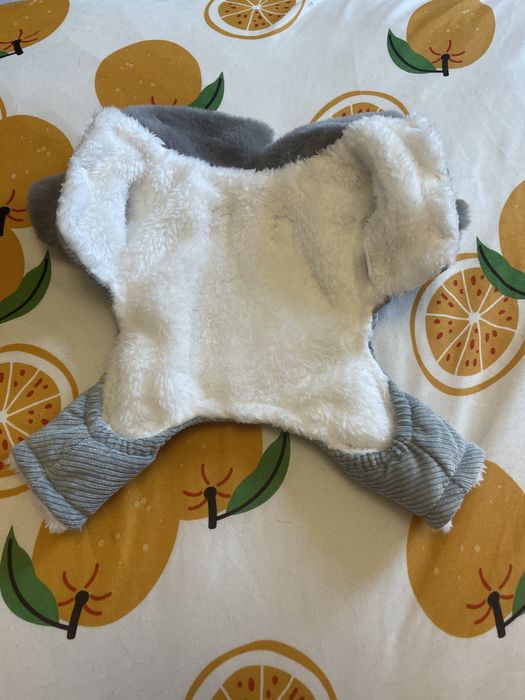 Зимно Яке за Пинчер/Чихуахуа