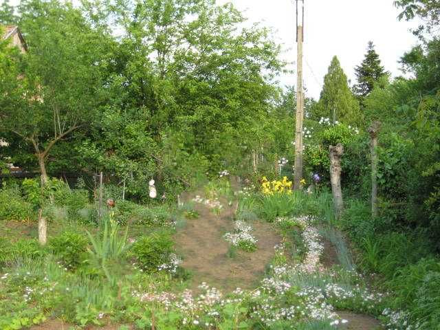 Продава се парцел в местност "Арменски Лозя"