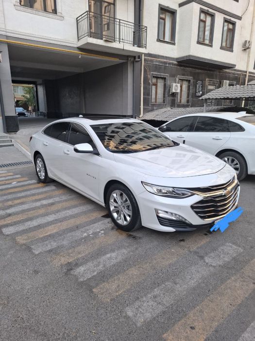 Malibu primer 2021