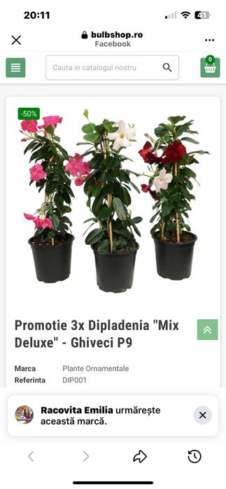 Gentuta valentino originala