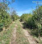 Teren intravilan Loc. Baicoi, Jud Prahova-id  17235