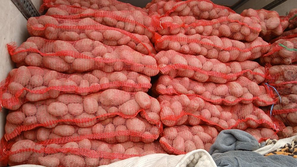 Cartofi rosii cu miezul galben