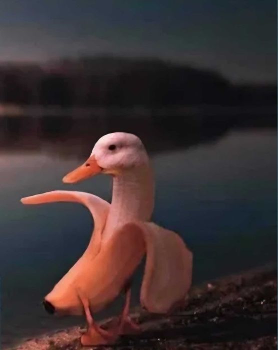 dau poza cu ciocanu' pret 150 de lei