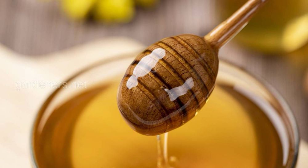 *Акция Мёд , Акция Асал , Sale Honey