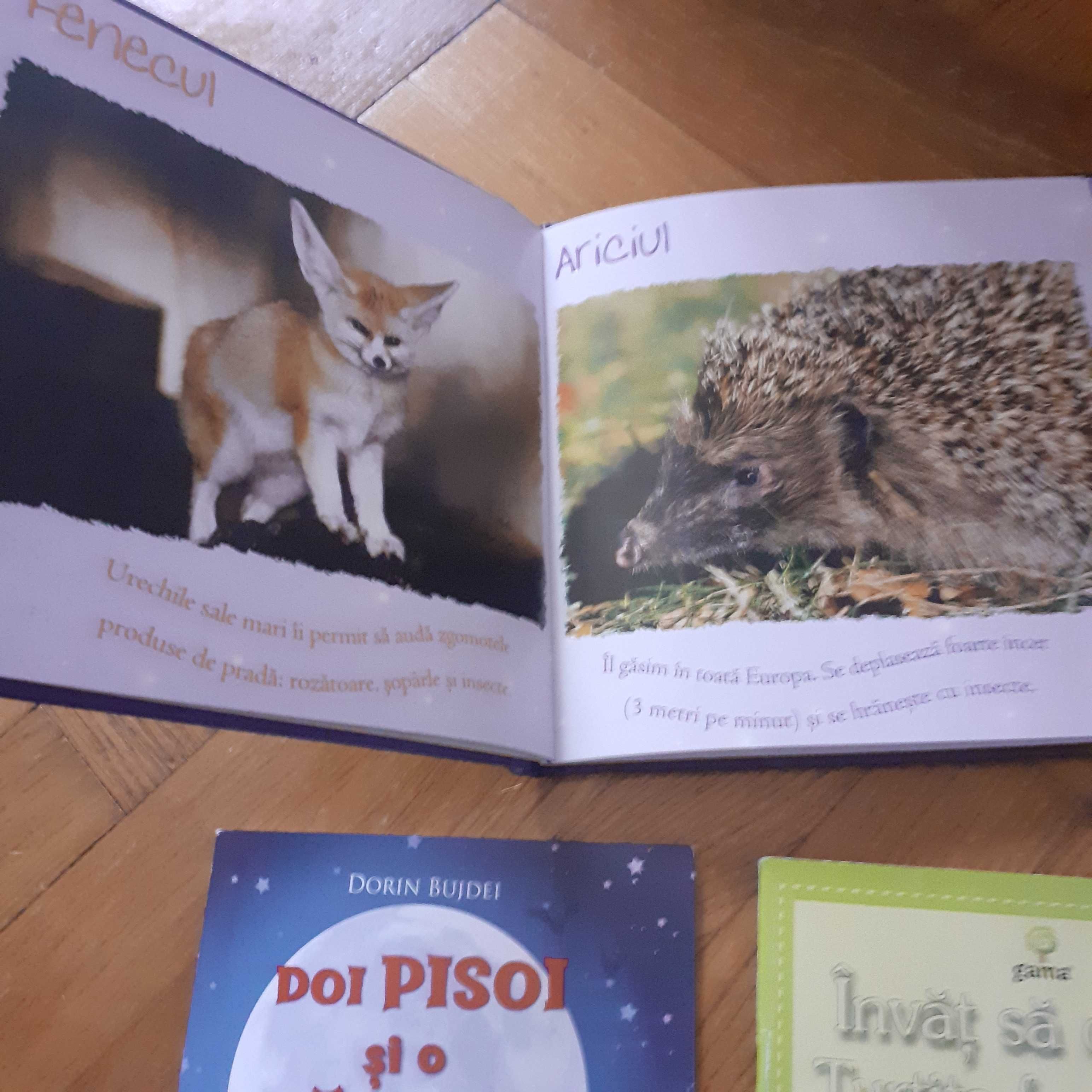 Lot 6 carti pentru copii Animale in noapte, Ciobanasul mincinos etc