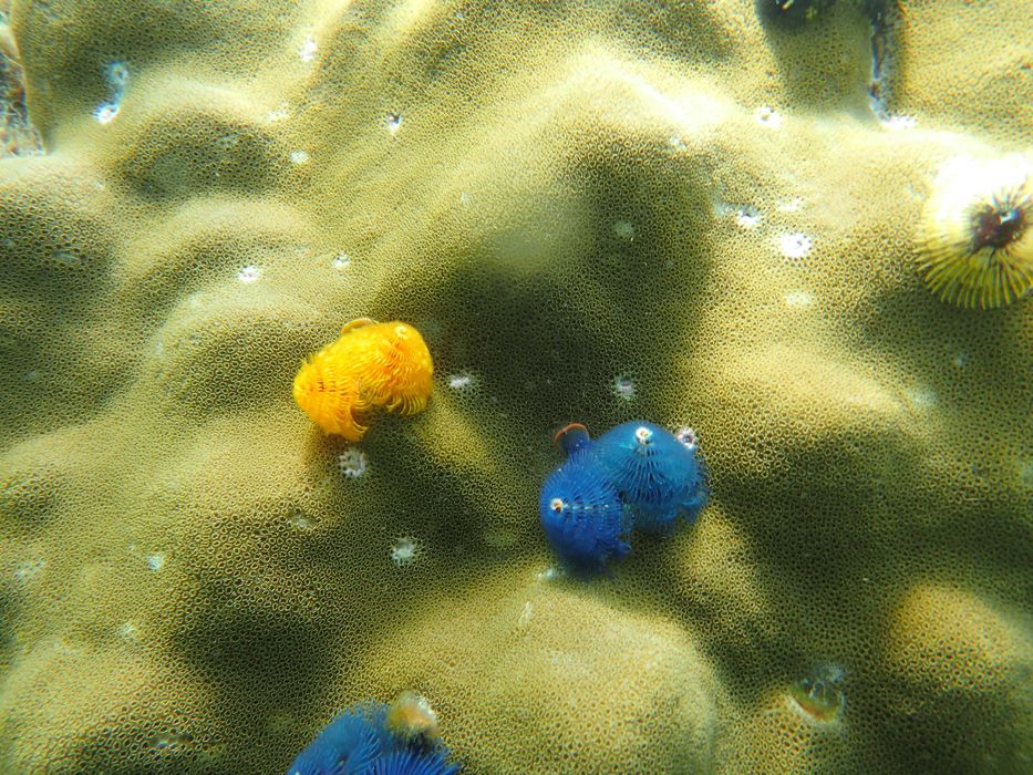 Водоустойчив и прахоустойчив фотоапарат Olympus TG-870