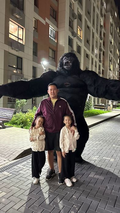 Кинг,Конг,Горилла украсит Ваш праздник,Заказывайте