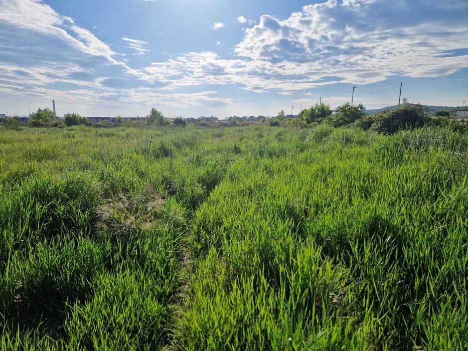 Teren intravilan , 5000 mp, Tomesti (Iasi), 53 euro/mp.