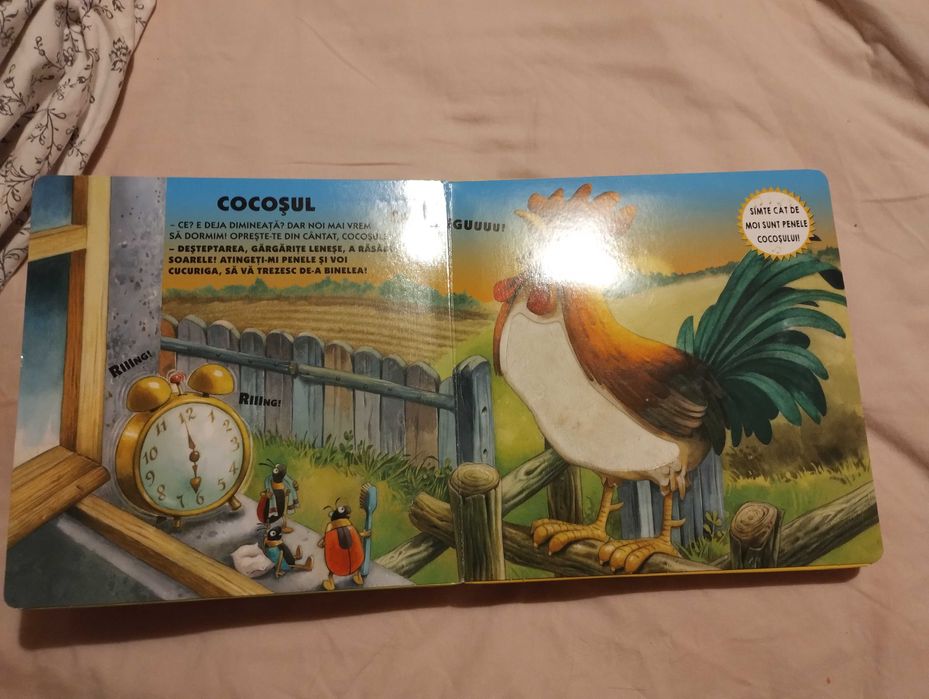 Ferma mea - atinge, simte, asculta