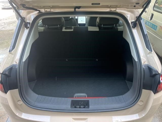 Свой новый электромобиль NETA aYa 2024. Европейка