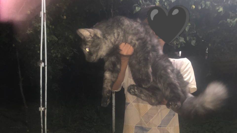 Zoti :Meyn kun uyda boqilgan