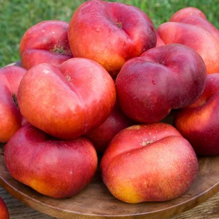 Pomi fructiferi deosebiti  Nectarin plat lapos