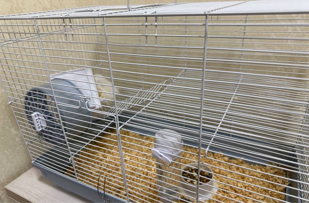 Продается хомяк белого цвета мальчик