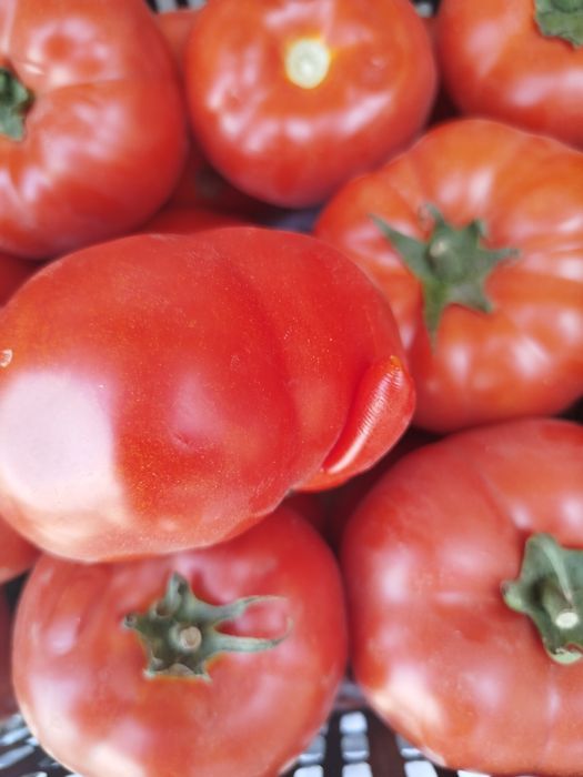 Yetkazib berish xizmati