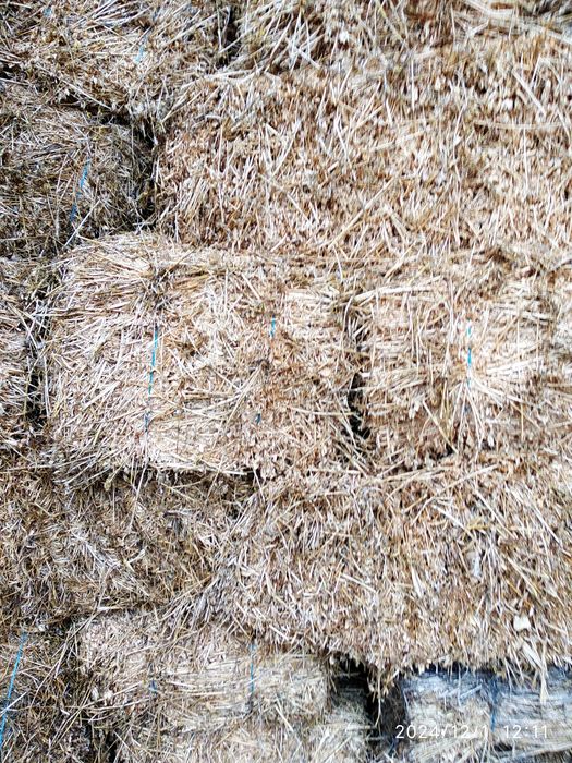 Vând baloți lucerna , iarbă , paie .