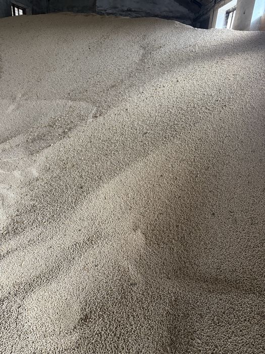 Mazare boabe fara spărtură !