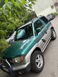 Pinin de vanzare