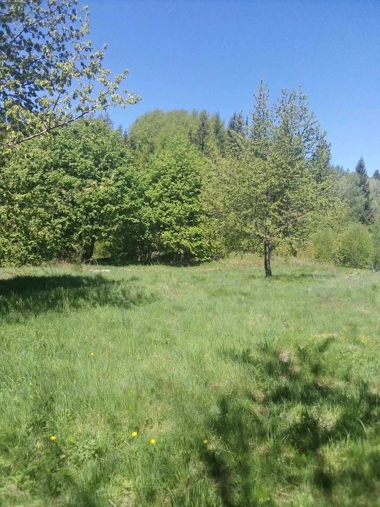 Продава се Парцел в Смолян, в.з. Смолян - 386 кв.м за 32 €/кв.м - Снимка #3
