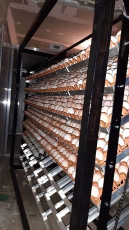 Incubatoare capacitate 3000-3600 oua