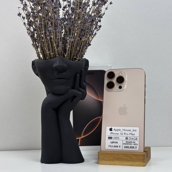 iPhone 16 Pro Max, 256гб