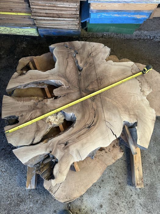 Oрех маслина чинар Шайби масив за епоксидна смола