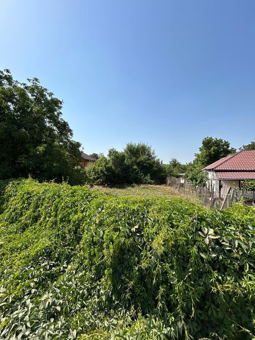 Premier Peacock Estate Lot(Locatie top la doar 130m de Soseaua Bucium)