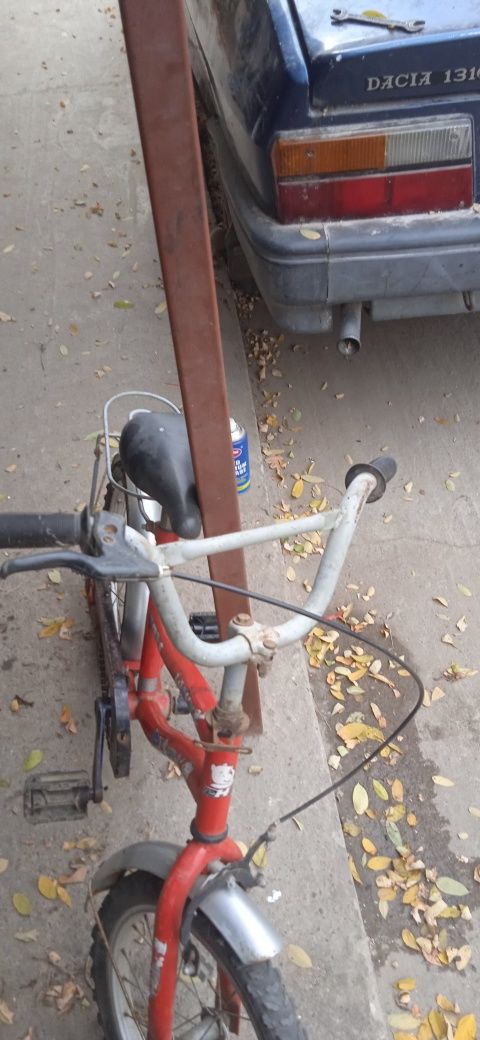 Bicicleta pentru copii